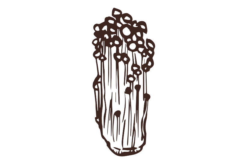えのき筆イラスト