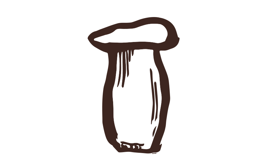 エリンギ筆イラスト