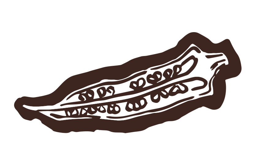 オクラ筆イラスト