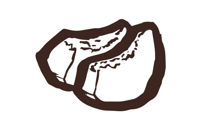 もも筆イラスト