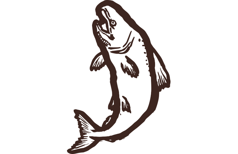 シャケ筆イラスト