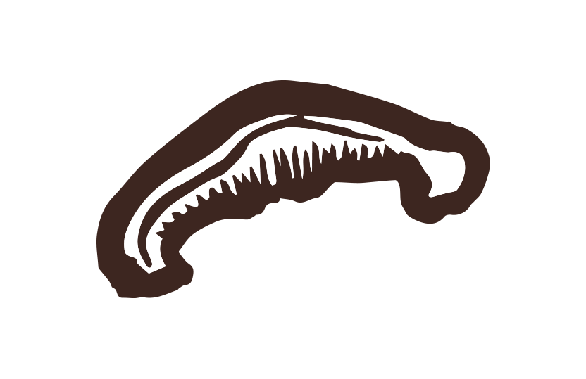 しいたけ筆イラスト