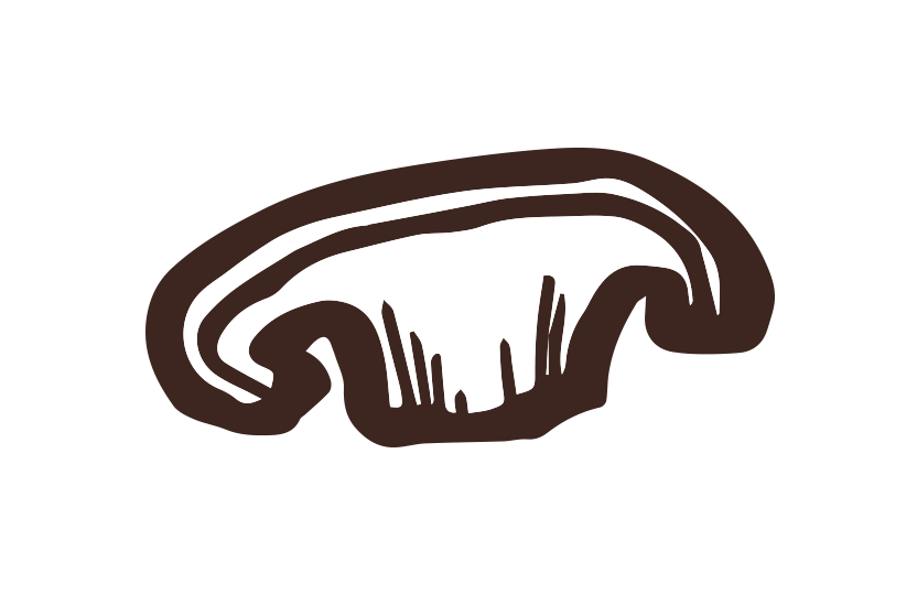 しいたけ筆イラスト