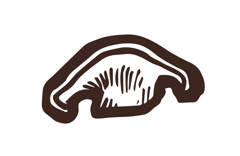 しいたけ筆イラスト