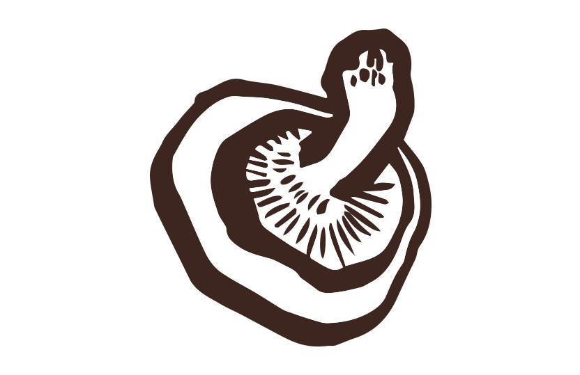 しいたけ筆イラスト