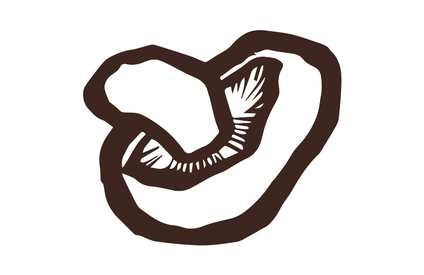 しいたけ筆イラスト