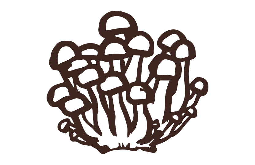 しめじ筆イラスト